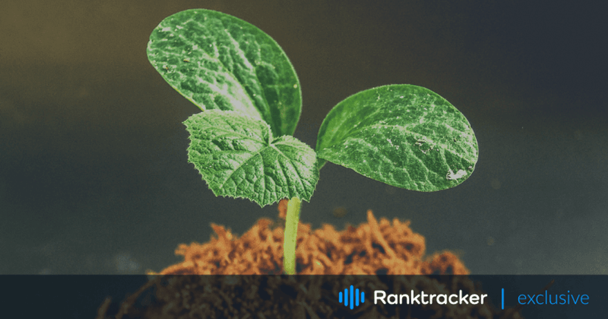 Les 7 meilleures façons de développer votre startup SaaS en utilisant le PPC et le SEO