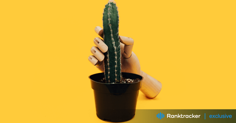 Analytik und Nachverfolgung für OnlyFans SEO