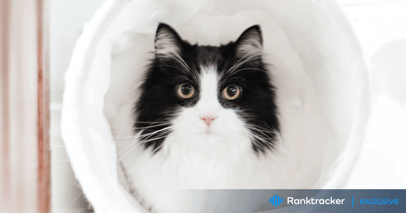 Comment trouver les meilleurs mots-clés pour votre niche d'animaux de compagnie ?