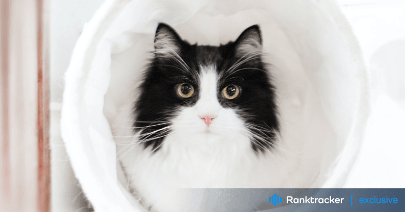 Comment trouver les meilleurs mots-clés pour votre niche d'animaux de compagnie ?
