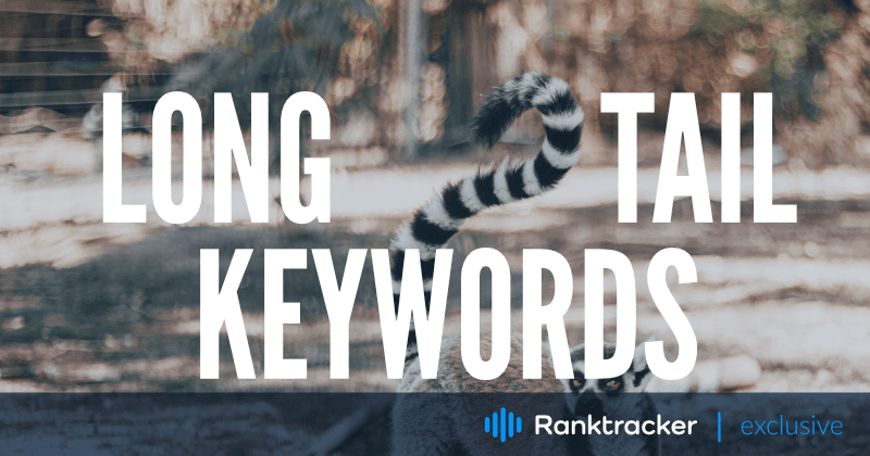 Long Tail Keywords in SEO: Was sind sie und wie verwendet man sie?