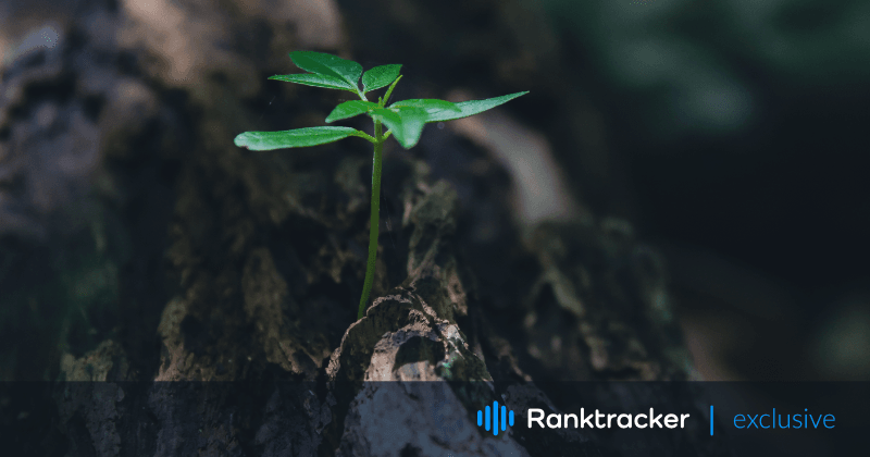 SaaS SEO Strategie: Der endgültige Leitfaden für Wachstum im Jahr 2023