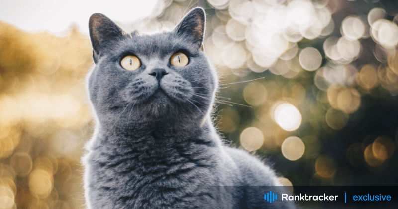 SERPの未来：2024年のGoogleアルゴリズムアップデートを理解する