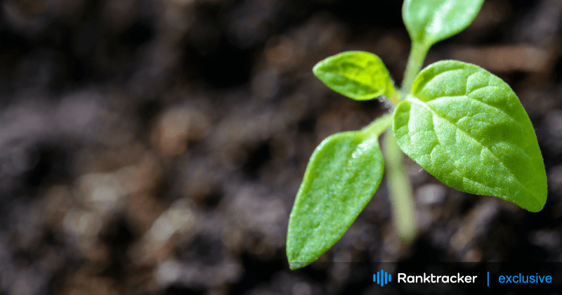 グーグル・レビューが消費者の信頼と購買決定に与える影響