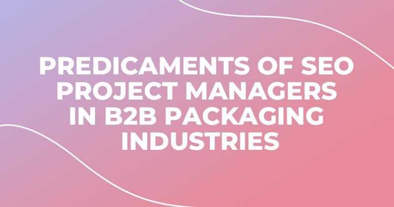 Predicaments of SEO Project