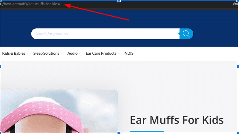 Page URLs
