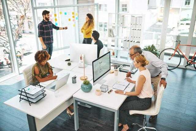 SEO Director