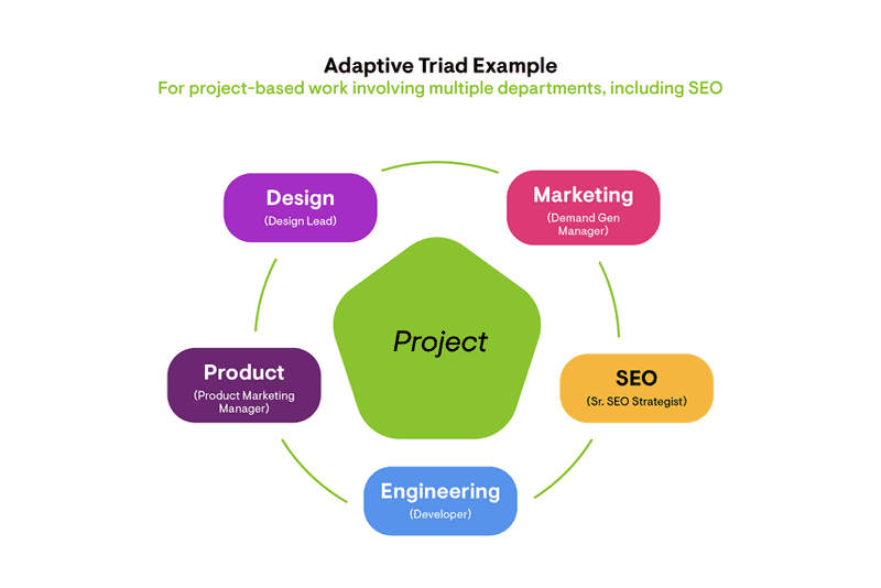SEO Developer