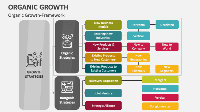 Chief SEO Officer Salary