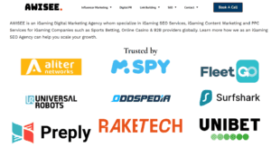 Ecommerce SEO Strategist