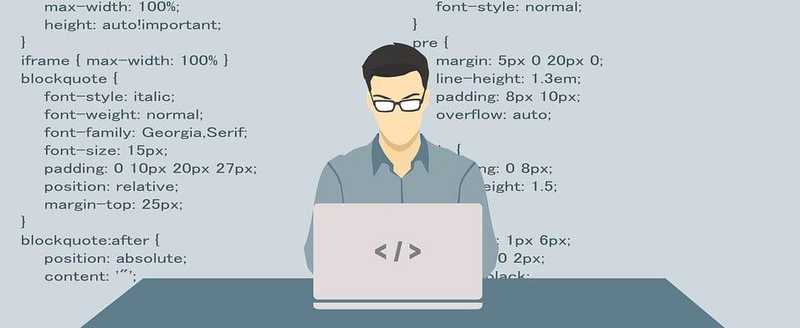 SEO Developer