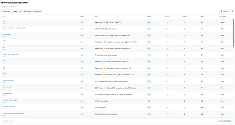 Website Audit