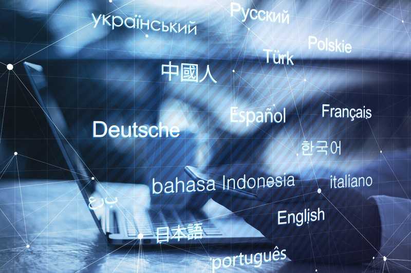 Building a Multilingual WordPress Website