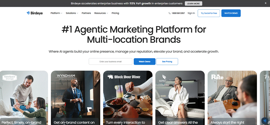 Birdeye Search AI Birdeye Search AI