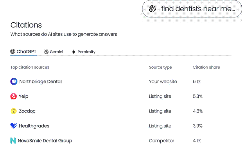 Birdeye Search AI Birdeye Search AI